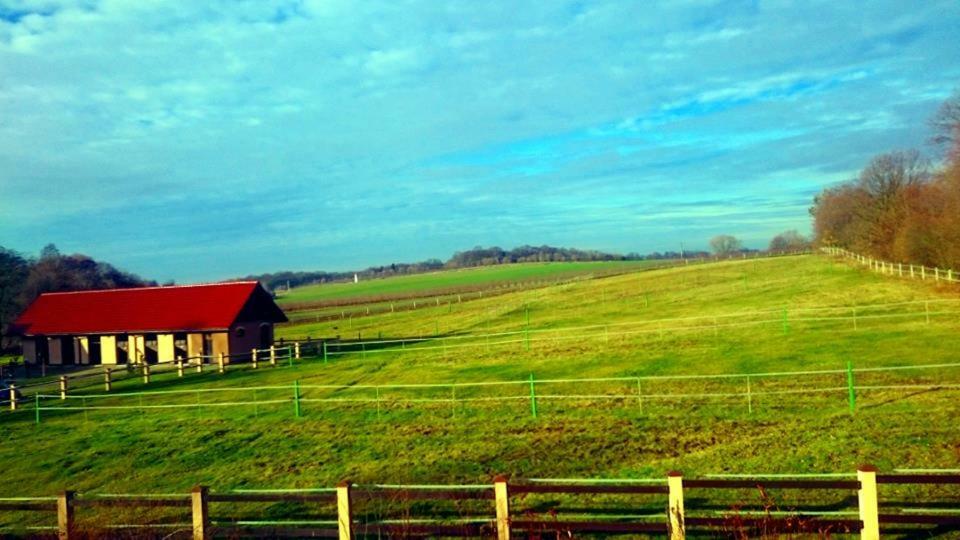 Pensjonat Enklawa Trzebnica Exteriér fotografie
